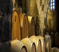 Wine cellar at Chateau Pape Clement